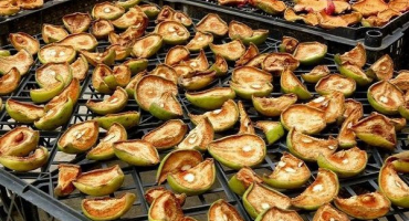 Jak správně sušit hrušky v troubě a elektrické sušičce